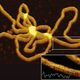 Illustration for article titled New Double Helix Visualization Revises What We Know About DNA